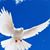 Kathleen Vaughan's profile image