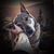 La China Camarillo's profile image