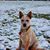 Heather Clark Smith's profile image