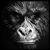 Jaime G. Jaramillo Jr.'s profile image