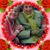Patty Jones Zatezalo's profile image
