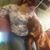 Nikki Flynn's profile image