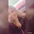 Calle Nicole's profile image