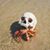 Helen Waite's profile image