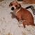 Bobbie Jones's profile image