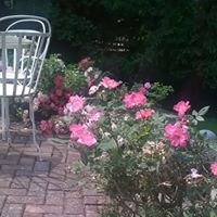 Susanne Alexander's profile image