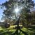 Wendy Brown's profile image