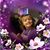 Kelly J Pompa's profile image
