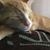 Amy Bavier Bartley's profile image
