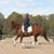Rickie Londe Swink's profile image