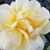 Debbie George's profile image