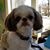 Cathy Diotte Scott's profile image