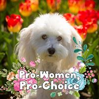 Victoria Vallone's profile image
