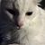Janice Truxillo Beaumont's profile image