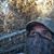 Steve Sarmiento's profile image