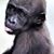 Alex Tumax's profile image