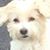Gregory Hayer's profile image