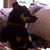 Sherri Winters's profile image