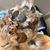 Christi Michelle's profile image