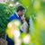 Pavan Sandha's profile image