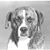 Desmond AndJeanne's profile image