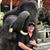 Joshie Phillips's profile image