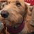 Joleen Bennett's profile image