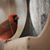 Sara Rathburn-Yourkvitch's profile image