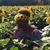 Valerie Welch-Hooks's profile image
