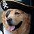Christian Everson's profile image