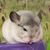Kimberly Friddle's profile image