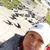 Chelitha Tejada's profile image
