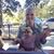 Whitney Atwell's profile image