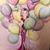 Elizabeth Burchett's profile image