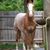 Kerry Steinbrugge's profile image