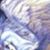 Sandra Humphrey's profile image
