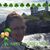 Rita Ann Holmes's profile image