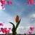 Della Oyen's profile image