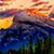 Amee Sevrie's profile image