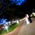Chandra Nicole Westervelt's profile image