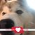 TyLynne Bauer's profile image