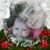 Benfield Benfield's profile image