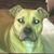 Gayle Hoskins-Garr's profile image