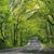 Gail McWhorter's profile image