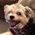 JoLanne Hanson's profile image