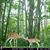 Denice Kranz's profile image