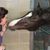 Karen Smith Lawrence's profile image