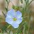 Cheri Suydam's profile image