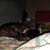 Lori Klingbeil's profile image