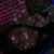 Cesar Almazan Terrez's profile image